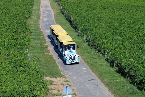 Ruedesheimer Winzerexpress