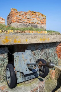 Pak 36