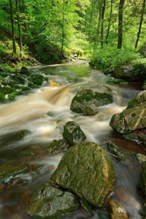 Hoegne stream