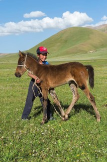 Kyrgyz boy with his foal