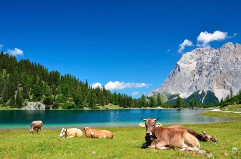 Mountain lake