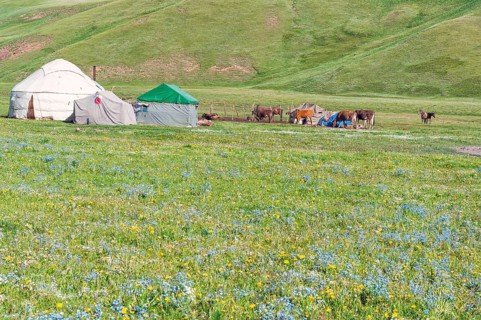 Nomadic yurt camp