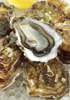 French oyster