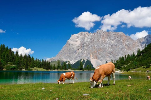Mountain lake