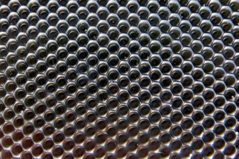 Comlex eye of a fly