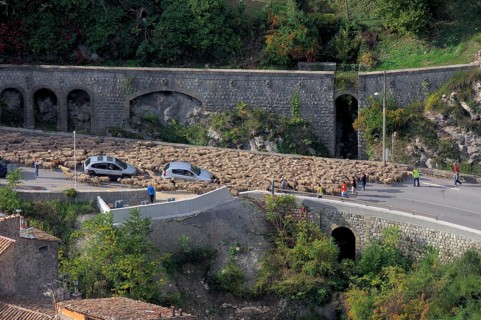 Transhumance
