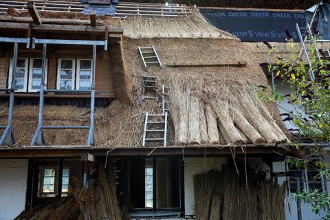 Old Frisian house