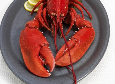 Boiled Lobster