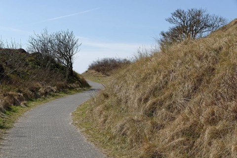 Footpath and cycle path