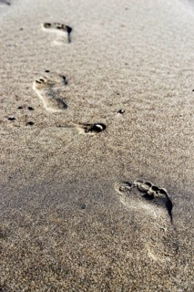 Footprints in the sand