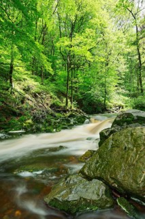 Hoegne stream