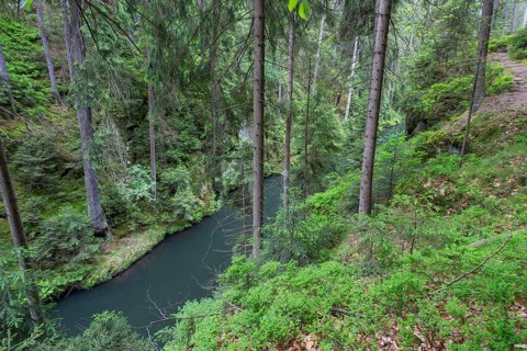 On high trail above Kirnitzschtal