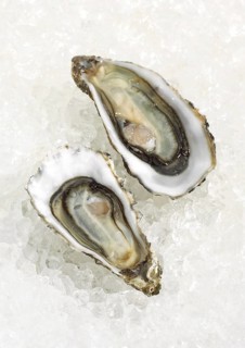 French Marennes d'Oleron oysters