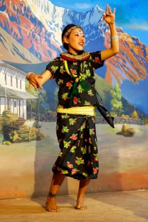 Traditional Tibetan dance performed by a folkloric group