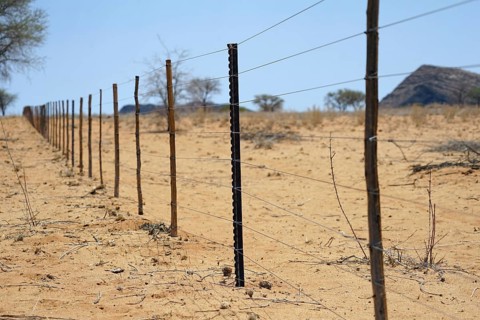 Fence