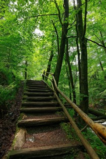 Wooden stairs at the Hoegne