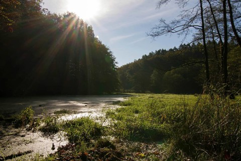 Jasmund National Park