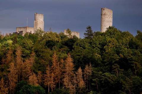 Brandenburg