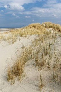 Dunes