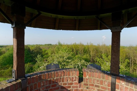 View from the Roman Tower
