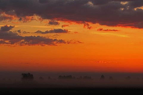 Morning atmosphere at Federsee