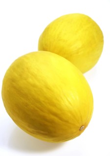 Yellow Spanish Melon