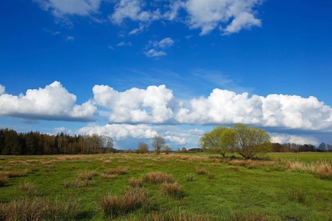 Nature reserve Oberalsterniederung