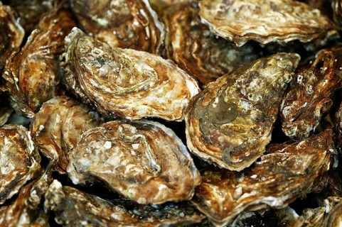 French oyster