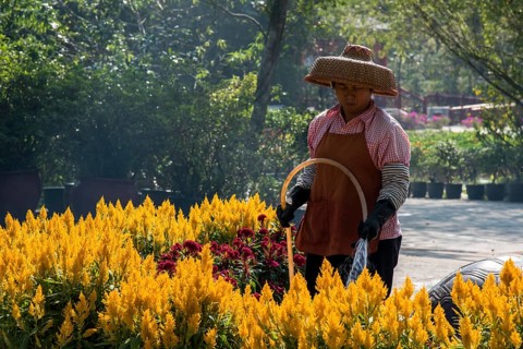 Woman wearing a straw hat