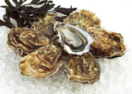 FRENCH AUSTRIA MARENNES D'OLERON ostrea edulis ON ICE