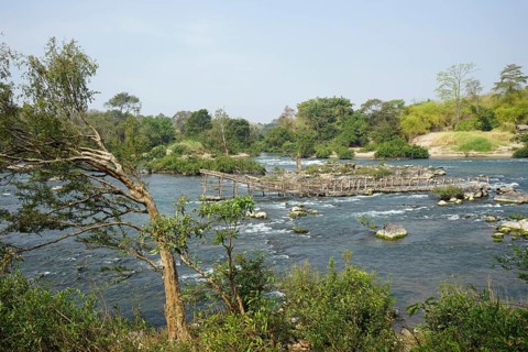 Bamboo racks for fishing