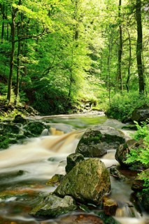 Hoegne stream