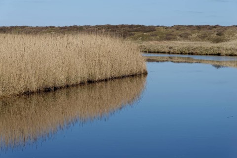 Watercourse