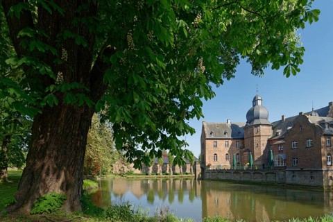 Castle Bergerhausen with horse chestnut