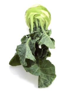 Kohlrabi