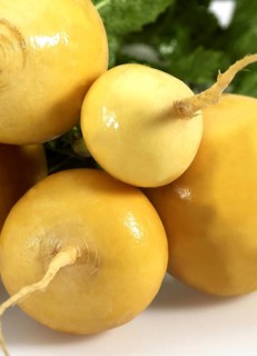 Golden Ball Turnips