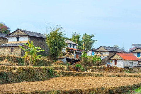 Mountain village and terraces of Dhampus
