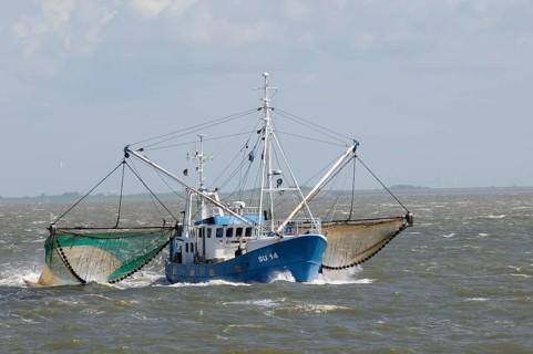 North Sea