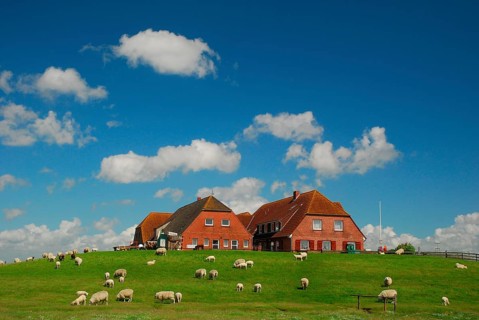 Brick houses