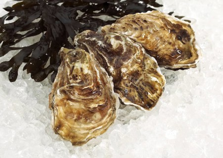 French oyster