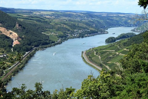 Rhine near Lorch