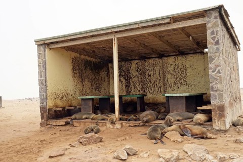 Picnic Area