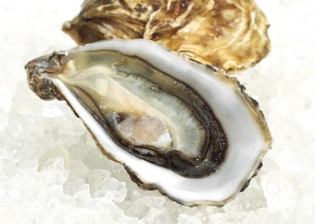 French Marennes d'Oleron oysters