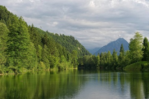 Auwaldsee near Fischen