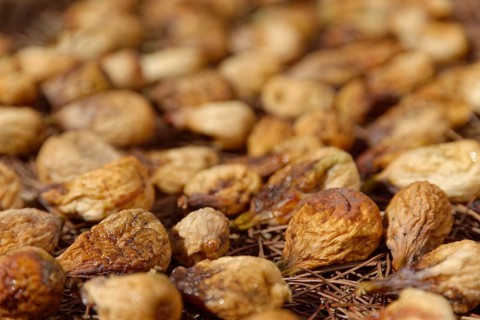 Drying common Common fig