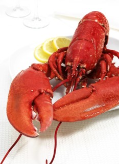 Plate with boiled Lobster