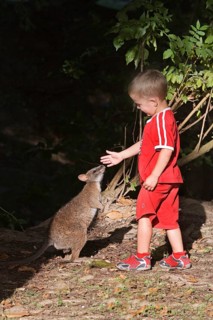 BOY WITH BENNETT'S Red necked wallaby