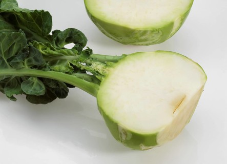 Kohlrabi Cabbage