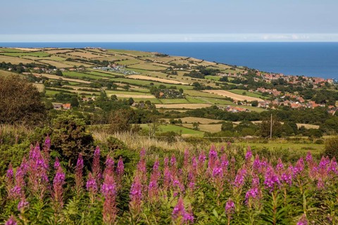 Robin Hood Bay