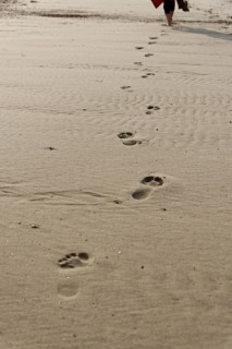 Footprints in the sand